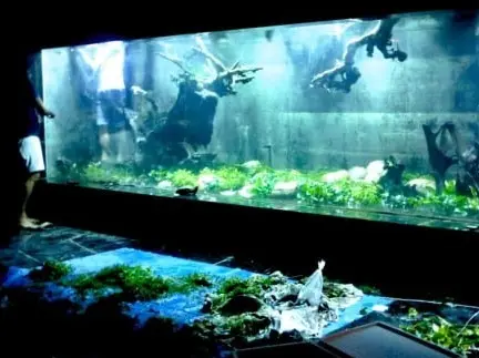 Aquata